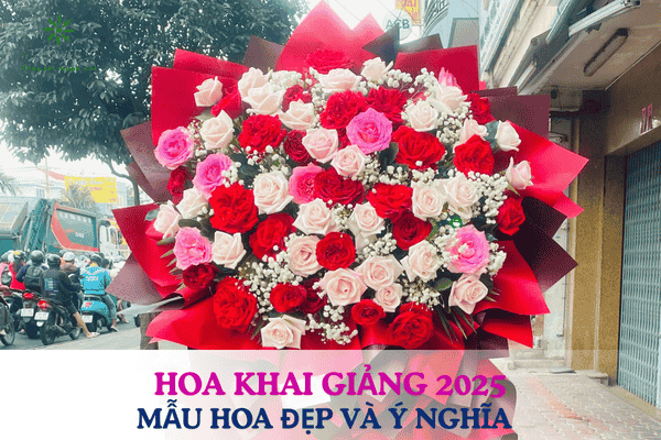 Hoa Khai Giảng 2025: Mẫu Hoa Đẹp, Ý Nghĩa Chúc Mừng Năm Học Mới